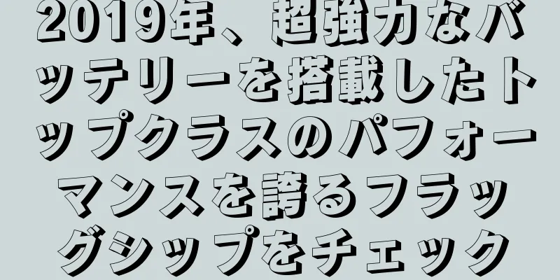 2019年、超強力なバッテリーを搭載したトップクラスのパフォーマンスを誇るフラッグシップをチェック