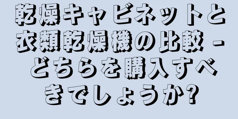 乾燥キャビネットと衣類乾燥機の比較 - どちらを購入すべきでしょうか?