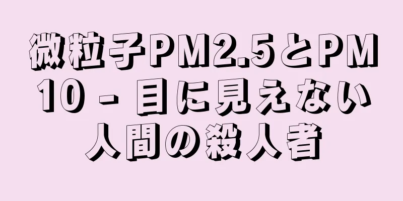 微粒子PM2.5とPM10 - 目に見えない人間の殺人者
