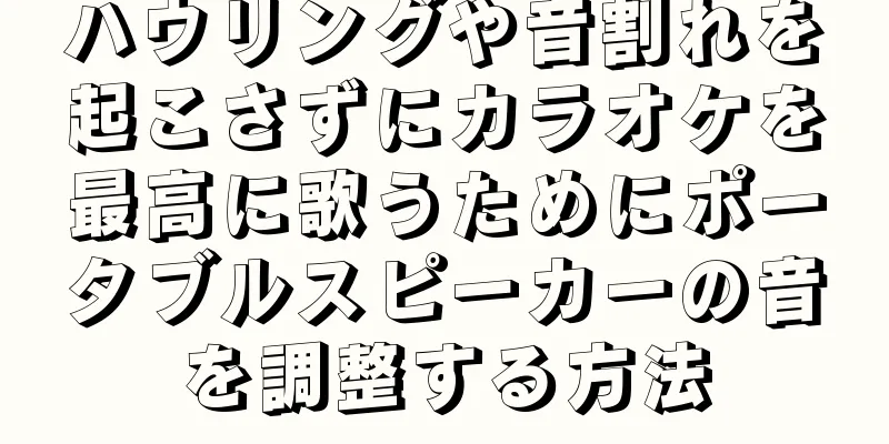 ハウリングや音割れを起こさずにカラオケを最高に歌うためにポータブルスピーカーの音を調整する方法