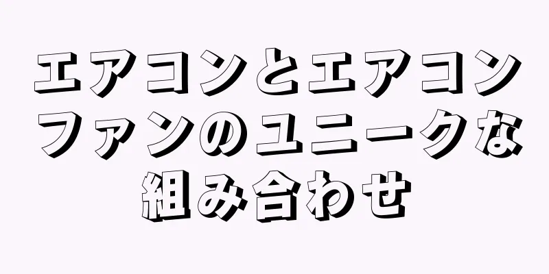 エアコンとエアコンファンのユニークな組み合わせ
