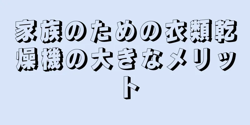 家族のための衣類乾燥機の大きなメリット