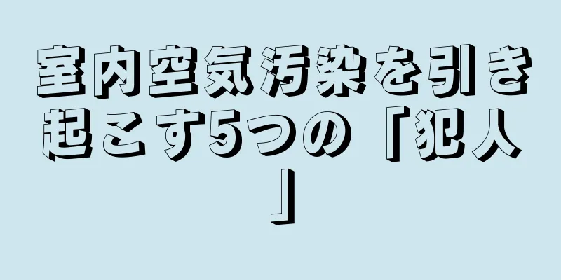 室内空気汚染を引き起こす5つの「犯人」
