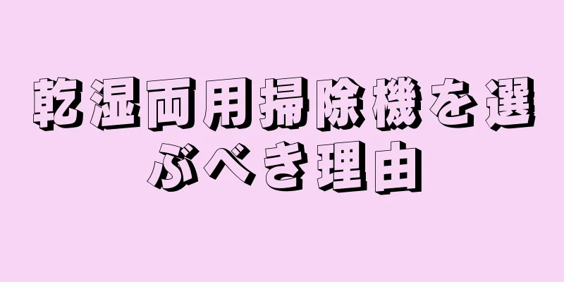 乾湿両用掃除機を選ぶべき理由