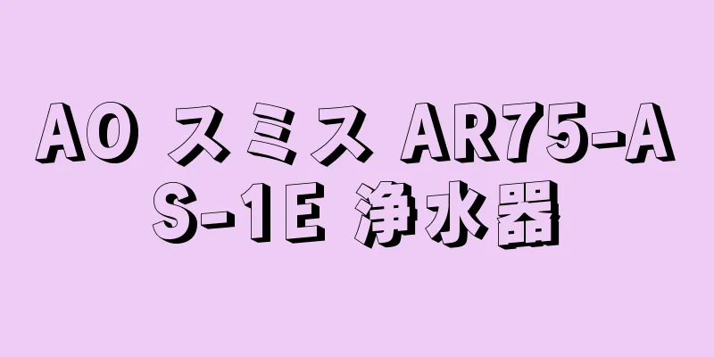 AO スミス AR75-AS-1E 浄水器