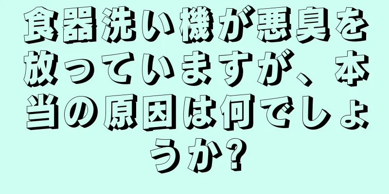 食器洗い機が悪臭を放っていますが、本当の原因は何でしょうか?