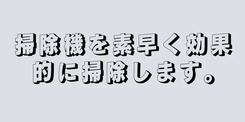 掃除機を素早く効果的に掃除します。