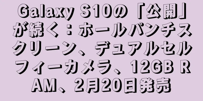 Galaxy S10の「公開」が続く：ホールパンチスクリーン、デュアルセルフィーカメラ、12GB RAM、2月20日発売