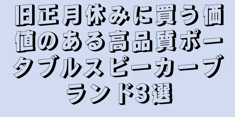 旧正月休みに買う価値のある高品質ポータブルスピーカーブランド3選