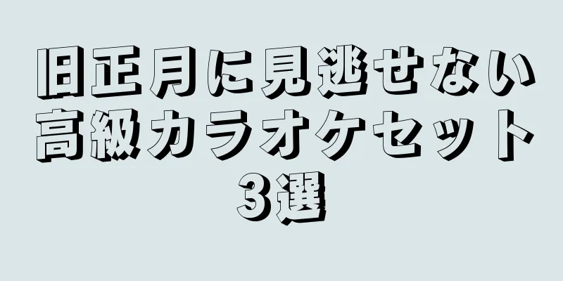 旧正月に見逃せない高級カラオケセット3選