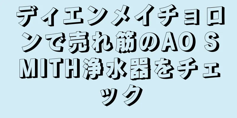 ディエンメイチョロンで売れ筋のAO SMITH浄水器をチェック