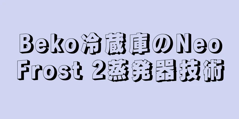 Beko冷蔵庫のNeoFrost 2蒸発器技術
