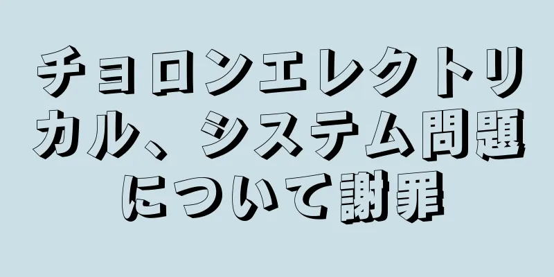 チョロンエレクトリカル、システム問題について謝罪