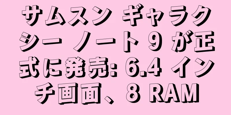 サムスン ギャラクシー ノート 9 が正式に発売: 6.4 インチ画面、8 RAM