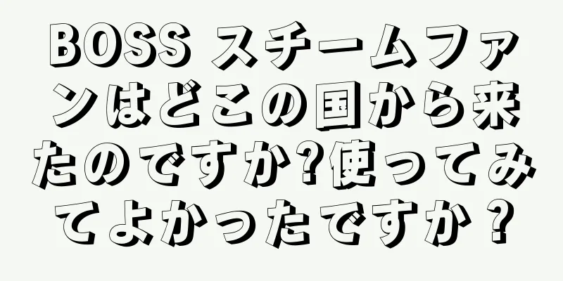 BOSS スチームファンはどこの国から来たのですか?使ってみてよかったですか？